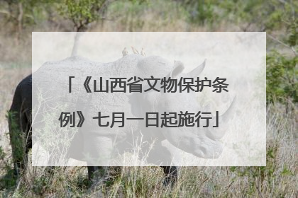 《山西省文物保护条例》七月一日起施行
