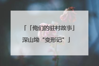 「俺们的驻村故事」深山坳“变形记”