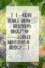 「一线看发展」通海：做足特色 做优产业——云南县域经济样本观察之二