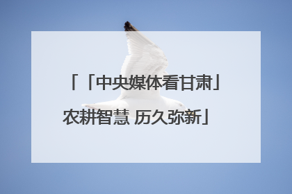 「中央媒体看甘肃」农耕智慧 历久弥新