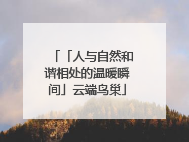 「人与自然和谐相处的温暖瞬间」云端鸟巢