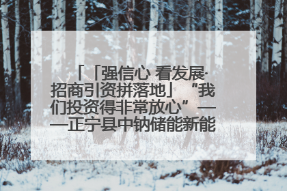 「强信心 看发展·招商引资拼落地」“我们投资得非常放心”——正宁县中钠储能新能源项目建设见闻