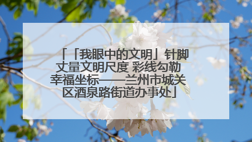 「我眼中的文明」针脚丈量文明尺度 彩线勾勒幸福坐标——兰州市城关区酒泉路街道办事处