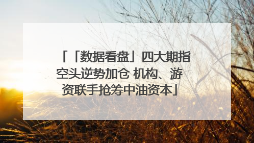 「数据看盘」四大期指空头逆势加仓 机构、游资联手抢筹中油资本