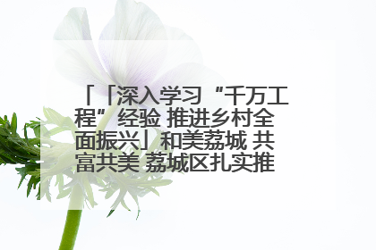 「深入学习“千万工程”经验 推进乡村全面振兴」和美荔城 共富共美 荔城区扎实推进乡村振兴工作