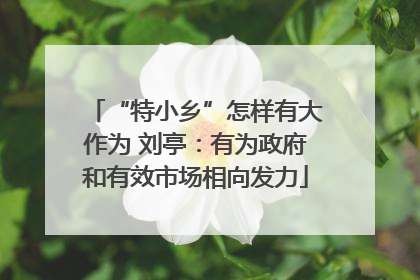 “特小乡”怎样有大作为 刘亭：有为政府和有效市场相向发力