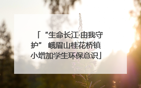 “生命长江·由我守护” 峨眉山桂花桥镇小增加学生环保意识