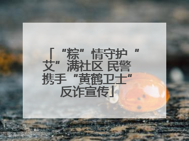 “粽”情守护“艾”满社区 民警携手“黄鹤卫士”反诈宣传