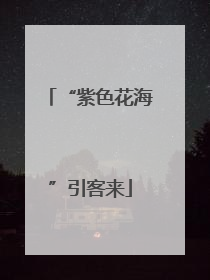 “紫色花海”引客来