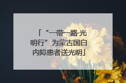“一带一路·光明行”为蒙古国白内障患者送光明
