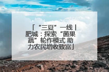 “三夏”一线丨肥城：探索“菌果蔬”轮作模式 助力农民增收致富