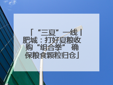 “三夏”一线丨肥城：打好夏粮收购“组合拳” 确保粮食颗粒归仓