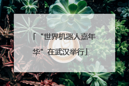 “世界机器人嘉年华”在武汉举行