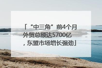 “中三角”前4个月外贸总额达5700亿，东盟市场增长强劲