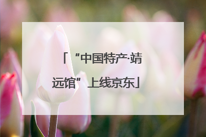 “中国特产·靖远馆”上线京东