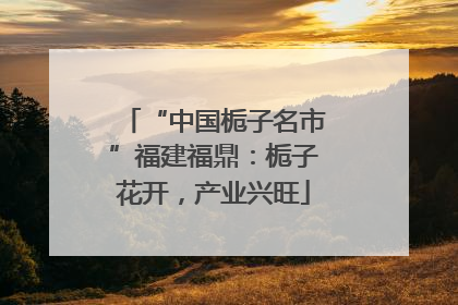 “中国栀子名市”福建福鼎：栀子花开，产业兴旺