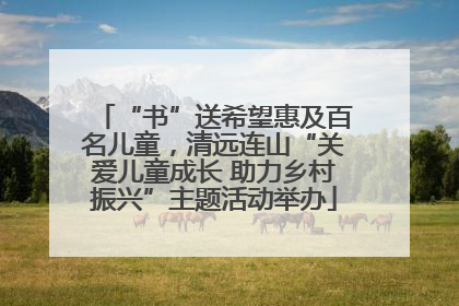 “书”送希望惠及百名儿童，清远连山“关爱儿童成长 助力乡村振兴”主题活动举办