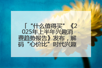 “什么值得买”《2025年上半年兴趣消费趋势报告》发布，解码“心价比”时代兴趣消费新范式