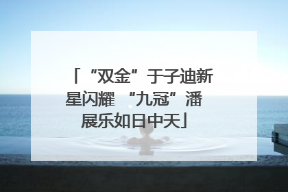 “双金”于子迪新星闪耀 “九冠”潘展乐如日中天