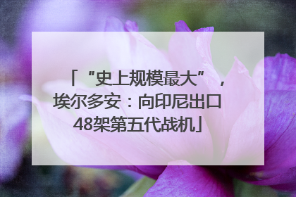 “史上规模最大”，埃尔多安：向印尼出口48架第五代战机