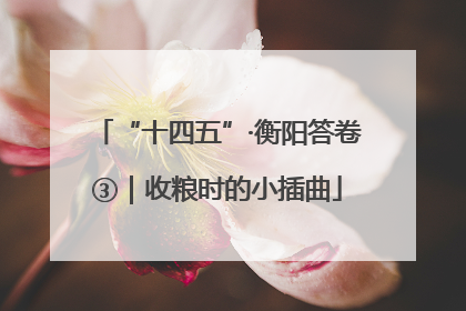 “十四五”·衡阳答卷③｜收粮时的小插曲