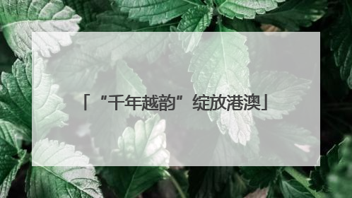 “千年越韵”绽放港澳