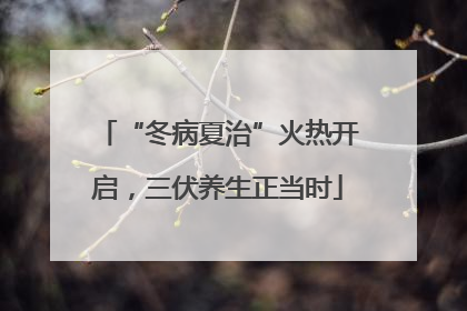 “冬病夏治”火热开启，三伏养生正当时