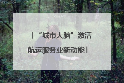 “城市大脑”激活航运服务业新动能