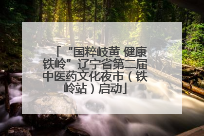 “国粹岐黄 健康铁岭”辽宁省第二届中医药文化夜市（铁岭站）启动