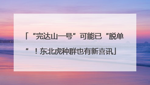 “完达山一号”可能已“脱单”！东北虎种群也有新喜讯