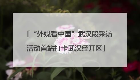 “外媒看中国”武汉段采访活动首站打卡武汉经开区