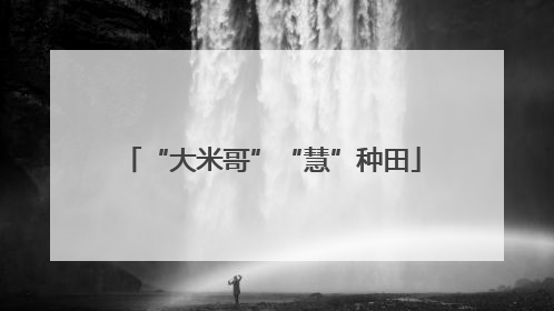 “大米哥”“慧”种田