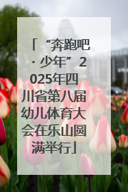 “奔跑吧・少年”2025年四川省第八届幼儿体育大会在乐山圆满举行