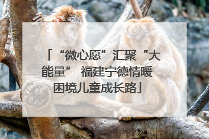 “微心愿”汇聚“大能量” 福建宁德情暖困境儿童成长路