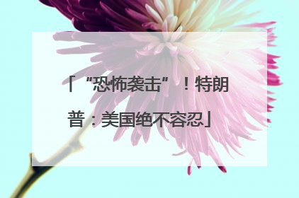 “恐怖袭击”！特朗普：美国绝不容忍