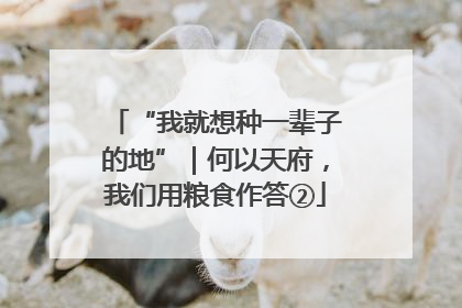 “我就想种一辈子的地”｜何以天府，我们用粮食作答②