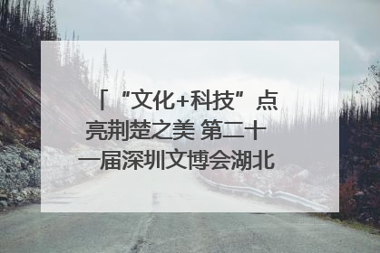 “文化+科技”点亮荆楚之美 第二十一届深圳文博会湖北馆抢“鲜”看