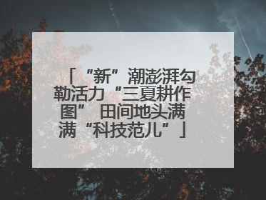“新”潮澎湃勾勒活力“三夏耕作图” 田间地头满满“科技范儿”