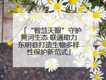“智慧天眼”守护黄河生态 联通助力东明县打造生物多样性保护新范式