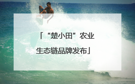 “楚小田”农业生态链品牌发布