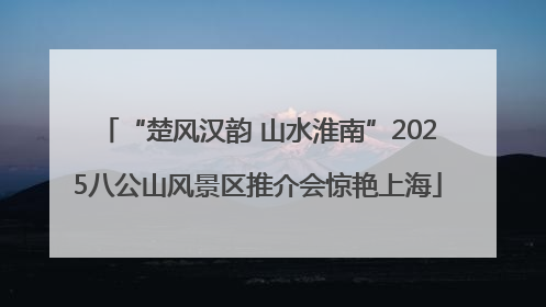 “楚风汉韵 山水淮南”2025八公山风景区推介会惊艳上海