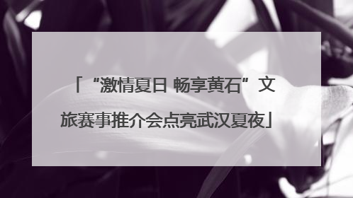 “激情夏日 畅享黄石”文旅赛事推介会点亮武汉夏夜