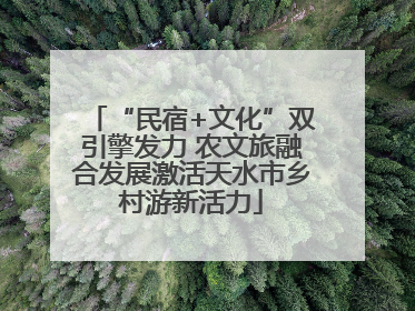“民宿+文化”双引擎发力 农文旅融合发展激活天水市乡村游新活力