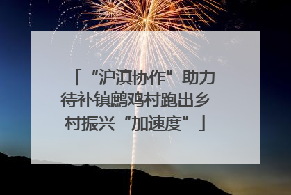 “沪滇协作”助力待补镇鹧鸡村跑出乡村振兴“加速度”
