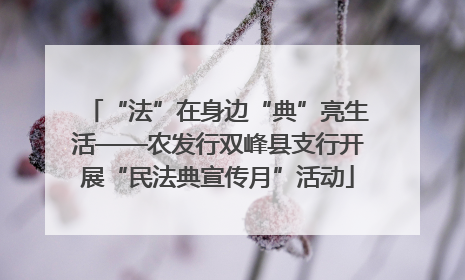 “法”在身边“典”亮生活——农发行双峰县支行开展“民法典宣传月”活动