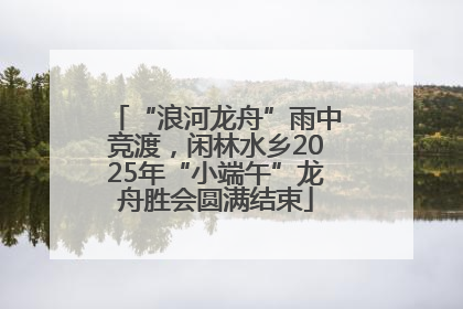 “浪河龙舟”雨中竞渡，闲林水乡2025年“小端午”龙舟胜会圆满结束