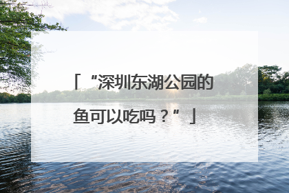 “深圳东湖公园的鱼可以吃吗？”