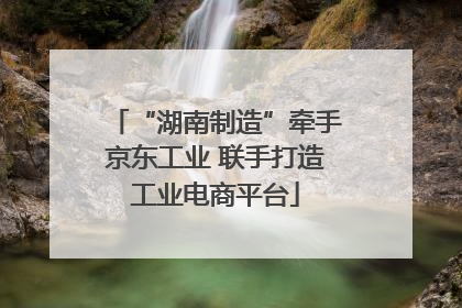“湖南制造”牵手京东工业 联手打造工业电商平台