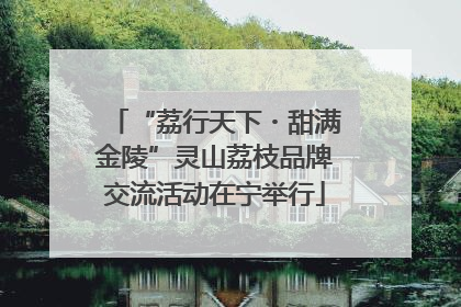 “荔行天下・甜满金陵”灵山荔枝品牌交流活动在宁举行