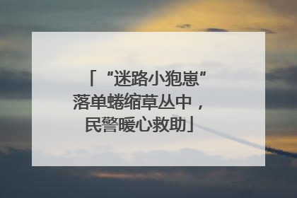 “迷路小狍崽”落单蜷缩草丛中，民警暖心救助